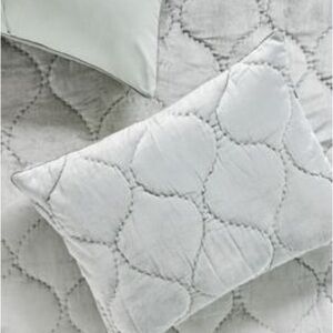 Anthropologie claire cotton velvet satin shams set of 2